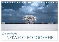 Cover Zauberhafte Infrarot-Fotografie (Wandkalender 2026 DIN A4 quer), CALVENDO Monatskalender