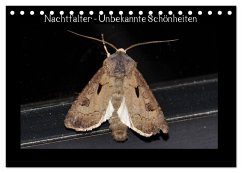 Nachtfalter - Unbekannte Schönheiten (Tischkalender 2026 DIN A5 quer), CALVENDO Monatskalender Nachtfalter - Unbekannte Schönheiten (Tischkalender 2026 DIN A5 quer), CALVENDO Monatskalender