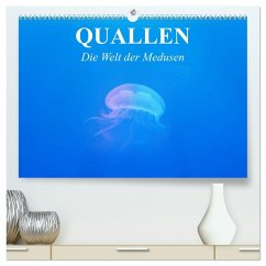 Cover Quallen. Die Welt der Medusen (hochwertiger Premium Wandkalender 2026 DIN A2 quer), Kunstdruck in Hochglanz