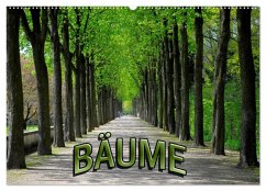 Bäume 2026 (Wandkalender 2026 DIN A2 quer), CALVENDO Monatskalender