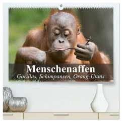Menschenaffen. Gorillas, Schimpansen, Orang-Utans (hochwertiger Premium Wandkalender 2026 DIN A2 quer), Kunstdruck in Hochglanz