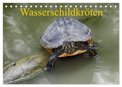 Cover Wasserschildkröten (Tischkalender 2026 DIN A5 quer), CALVENDO Monatskalender