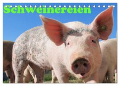 Cover Schweinereien (Tischkalender 2026 DIN A5 quer), CALVENDO Monatskalender
