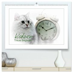 Katzen - Treue Begleiter (CH - Version) (hochwertiger Premium Wandkalender 2026 DIN A2 quer), Kunstdruck in Hochglanz