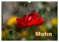 Cover Mohn (Wandkalender 2026 DIN A3 quer), CALVENDO Monatskalender