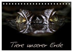 Cover Tiere unserer Erde (Tischkalender 2026 DIN A5 quer), CALVENDO Monatskalender