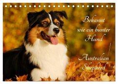 Bekannt wie ein bunter Hund. Australian Shepherd (Tischkalender 2026 DIN A5 quer), CALVENDO Monatskalender