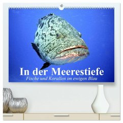 In der Meerestiefe. Fische und Korallen im ewigen Blau (hochwertiger Premium Wandkalender 2026 DIN A2 quer), Kunstdruck in Hochglanz
