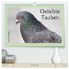 Cover Geliebte Tauben (hochwertiger Premium Wandkalender 2026 DIN A2 quer), Kunstdruck in Hochglanz