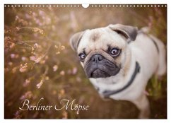 Cover Berliner Möpse (Wandkalender 2026 DIN A3 quer), CALVENDO Monatskalender