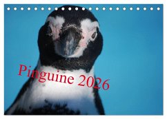 Cover Pinguine 2026 (Tischkalender 2026 DIN A5 quer), CALVENDO Monatskalender
