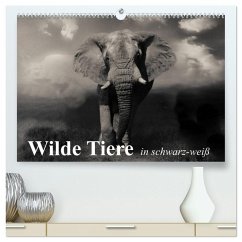 Wilde Tiere in schwarz-weiß (hochwertiger Premium Wandkalender 2026 DIN A2 quer), Kunstdruck in Hochglanz