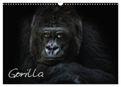 Gorilla (Wandkalender 2026 DIN A3 quer), CALVENDO Monatskalender