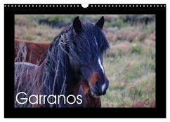 Cover Garranos - Bedrohte Wildpferde Europas (Wandkalender 2026 DIN A3 quer), CALVENDO Monatskalender