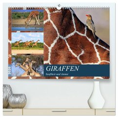 Giraffen - Sanftheit und Anmut (hochwertiger Premium Wandkalender 2026 DIN A2 quer), Kunstdruck in Hochglanz Giraffen - Sanftheit und Anmut (hochwertiger Premium Wandkalender 2026 DIN A2 quer), Kunstdruck in Hochglanz