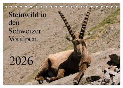 Cover Steinwild in den Schweizer Voralpen (Tischkalender 2026 DIN A5 quer), CALVENDO Monatskalender