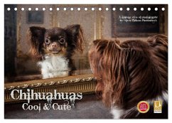 Chihuahuas - Cool and Cute (Tischkalender 2026 DIN A5 quer), CALVENDO Monatskalender Chihuahuas - Cool and Cute (Tischkalender 2026 DIN A5 quer), CALVENDO Monatskalender