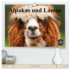 Alpakas und Lamas (hochwertiger Premium Wandkalender 2026 DIN A2 quer), Kunstdruck in Hochglanz