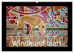 Cover Windhund bunt (Wandkalender 2026 DIN A2 quer), CALVENDO Monatskalender