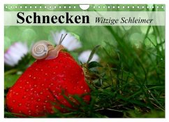 Schnecken. Witzige Schleimer (Wandkalender 2026 DIN A4 quer), CALVENDO Monatskalender