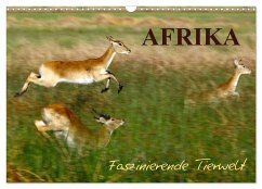 Cover Afrika - Faszinierende Tierwelt (Wandkalender 2026 DIN A3 quer), CALVENDO Monatskalender