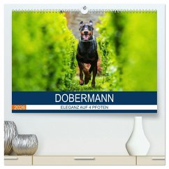 Dobermann 2026 (hochwertiger Premium Wandkalender 2026 DIN A2 quer), Kunstdruck in Hochglanz Dobermann 2026 (hochwertiger Premium Wandkalender 2026 DIN A2 quer), Kunstdruck in Hochglanz