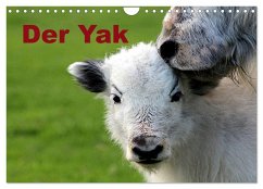 Cover Der Yak (Wandkalender 2026 DIN A4 quer), CALVENDO Monatskalender
