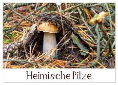Cover Heimische Pilze (Wandkalender 2026 DIN A3 quer), CALVENDO Monatskalender