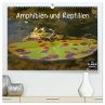 Amphibien und Reptilien (hochwertiger... - Bild 1
