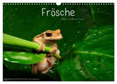 Frösche (Wandkalender 2026 DIN A3 quer), CALVENDO Monatskalender Frösche (Wandkalender 2026 DIN A3 quer), CALVENDO Monatskalender