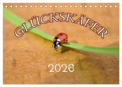 Marienkäfer 2026 (Tischkalender 2026 DIN A5 quer), CALVENDO Monatskalender Marienkäfer 2026 (Tischkalender 2026 DIN A5 quer), CALVENDO Monatskalender