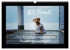 Cover Elli Pirelli... aus dem Leben eines fröhlichen Pinscher-Dackel-Mädels (Wandkalender 2026 DIN A3 quer), CALVENDO Monatskalender
