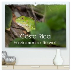 Costa Rica. Faszinierende Tierwelt (hochwertiger Premium Wandkalender 2026 DIN A2 quer), Kunstdruck in Hochglanz