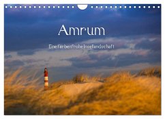 Cover Amrum - Eine farbenfrohe Insellandschaft (Wandkalender 2026 DIN A4 quer), CALVENDO Monatskalender