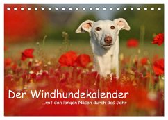 Der Windhundekalender (Tischkalender 2026 DIN A5 quer), CALVENDO Monatskalender Der Windhundekalender (Tischkalender 2026 DIN A5 quer), CALVENDO Monatskalender