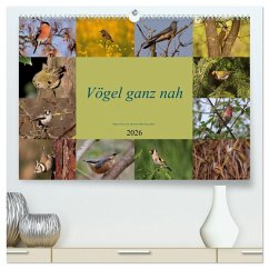 Vögel ganz nah (hochwertiger Premium Wandkalender 2026 DIN A2 quer), Kunstdruck in Hochglanz Vögel ganz nah (hochwertiger Premium Wandkalender 2026 DIN A2 quer), Kunstdruck in Hochglanz