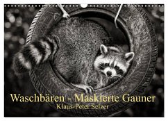 Waschbären - Maskierte Gauner (Wandkalender 2026 DIN A3 quer), CALVENDO Monatskalender Waschbären - Maskierte Gauner (Wandkalender 2026 DIN A3 quer), CALVENDO Monatskalender