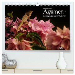 Agamen - Echsen aus der Urzeit (hochwertiger Premium Wandkalender 2026 DIN A2 quer), Kunstdruck in Hochglanz