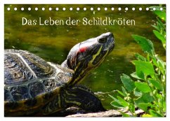 Cover Das Leben der Schildkröten (Tischkalender 2026 DIN A5 quer), CALVENDO Monatskalender