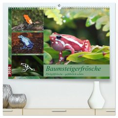 Cover Baumsteigerfrösche. Pfeilgiftfrösche - gefährlich schön (hochwertiger Premium Wandkalender 2026 DIN A2 quer), Kunstdruck in Hochglanz
