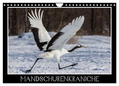 Cover Mandschurenkraniche (Wandkalender 2026 DIN A4 quer), CALVENDO Monatskalender