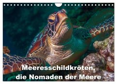 Cover Meeresschildkröten, die Nomaden der Meere (Wandkalender 2026 DIN A4 quer), CALVENDO Monatskalender