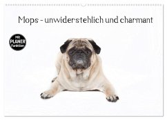 Mops - unwiderstehlich und charmant (Wandkalender 2026 DIN A2 quer), CALVENDO Monatskalender