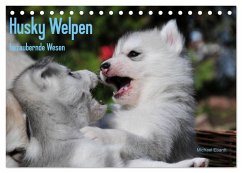Husky Welpen (Tischkalender 2026 DIN A5 quer), CALVENDO Monatskalender Husky Welpen (Tischkalender 2026 DIN A5 quer), CALVENDO Monatskalender