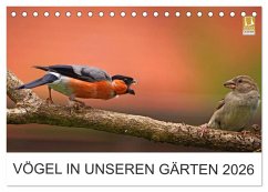 Vögel in unseren Gärten 2026 (Tischkalender 2026 DIN A5 quer), CALVENDO Monatskalender