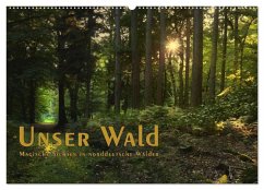 Cover Unser Wald - Magische Sichten in norddeutsche Wälder / Geburtstagskalender (Wandkalender 2026 DIN A2 quer), CALVENDO Monatskalender