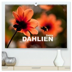 Cover Dahlia - Dahlien (hochwertiger Premium Wandkalender 2026 DIN A2 quer), Kunstdruck in Hochglanz