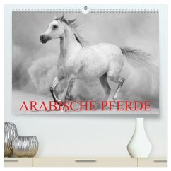 Cover Arabische Pferde (hochwertiger Premium Wandkalender 2026 DIN A2 quer), Kunstdruck in Hochglanz