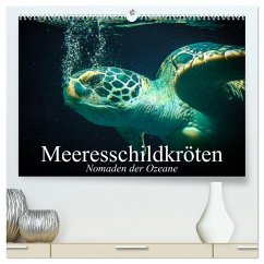 Meeresschildkröten. Nomaden der Ozeane (hochwertiger Premium Wandkalender 2026 DIN A2 quer), Kunstdruck in Hochglanz Cover Meeresschildkröten. Nomaden der Ozeane (hochwertiger Premium Wandkalender 2026 DIN A2 quer), Kunstdruck in Hochglanz