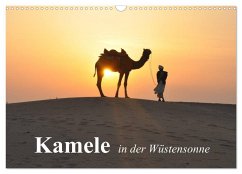 Cover Kamele in der Wüstensonne (Wandkalender 2026 DIN A3 quer), CALVENDO Monatskalender